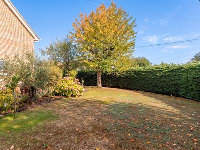 Picture 23
